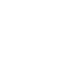 Touchstone Security Consulting logo